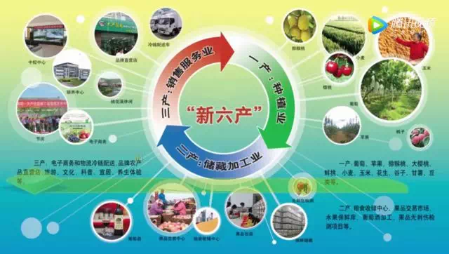 Kaiyun APP-特色青训“双引擎”打造行业新动能，产业链逐渐完备的简单介绍