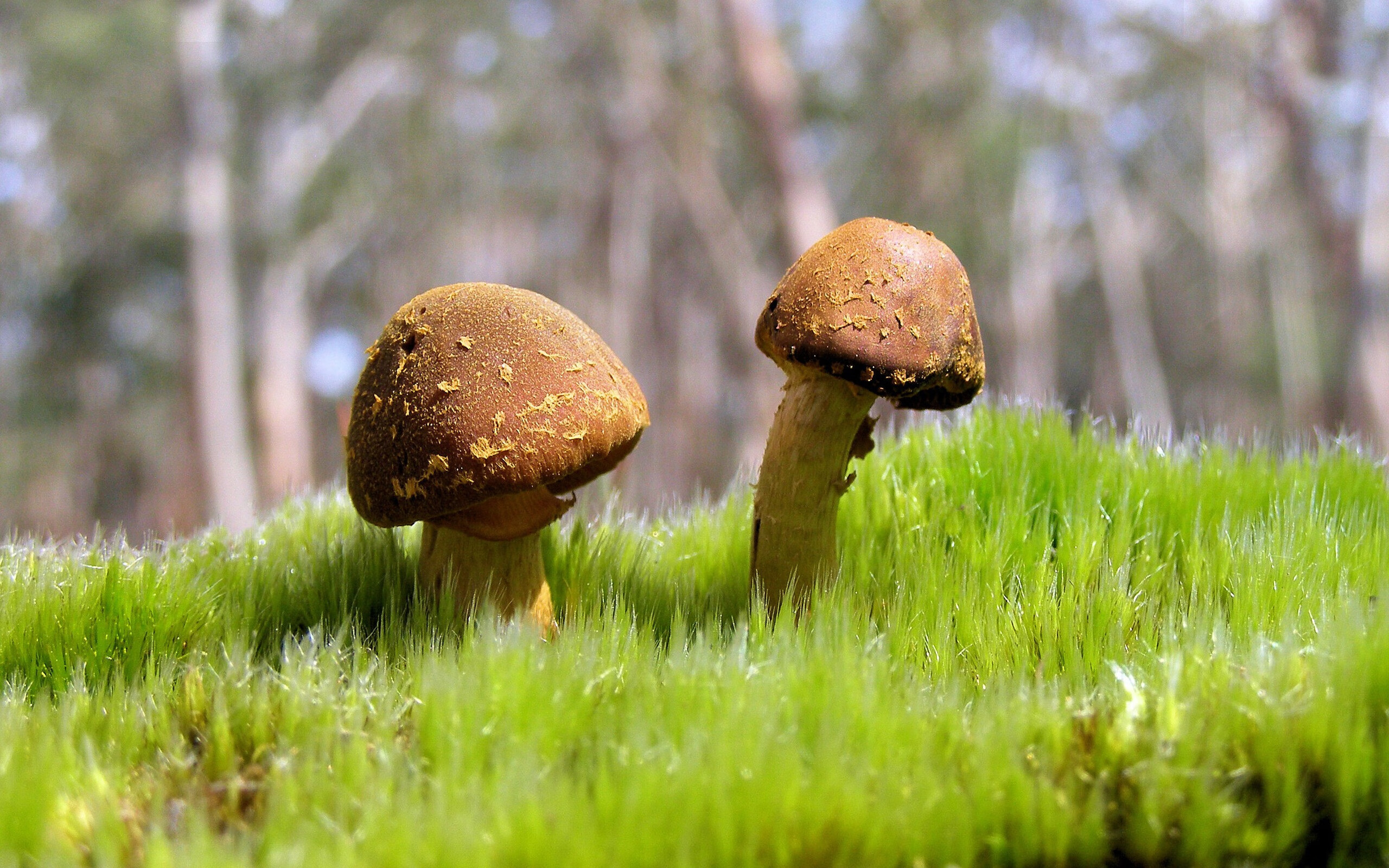 Kaiyun官方登录入口-2025赛季十大经典比赛震撼回顾，2025赛季十大经典比赛震撼回顾图片