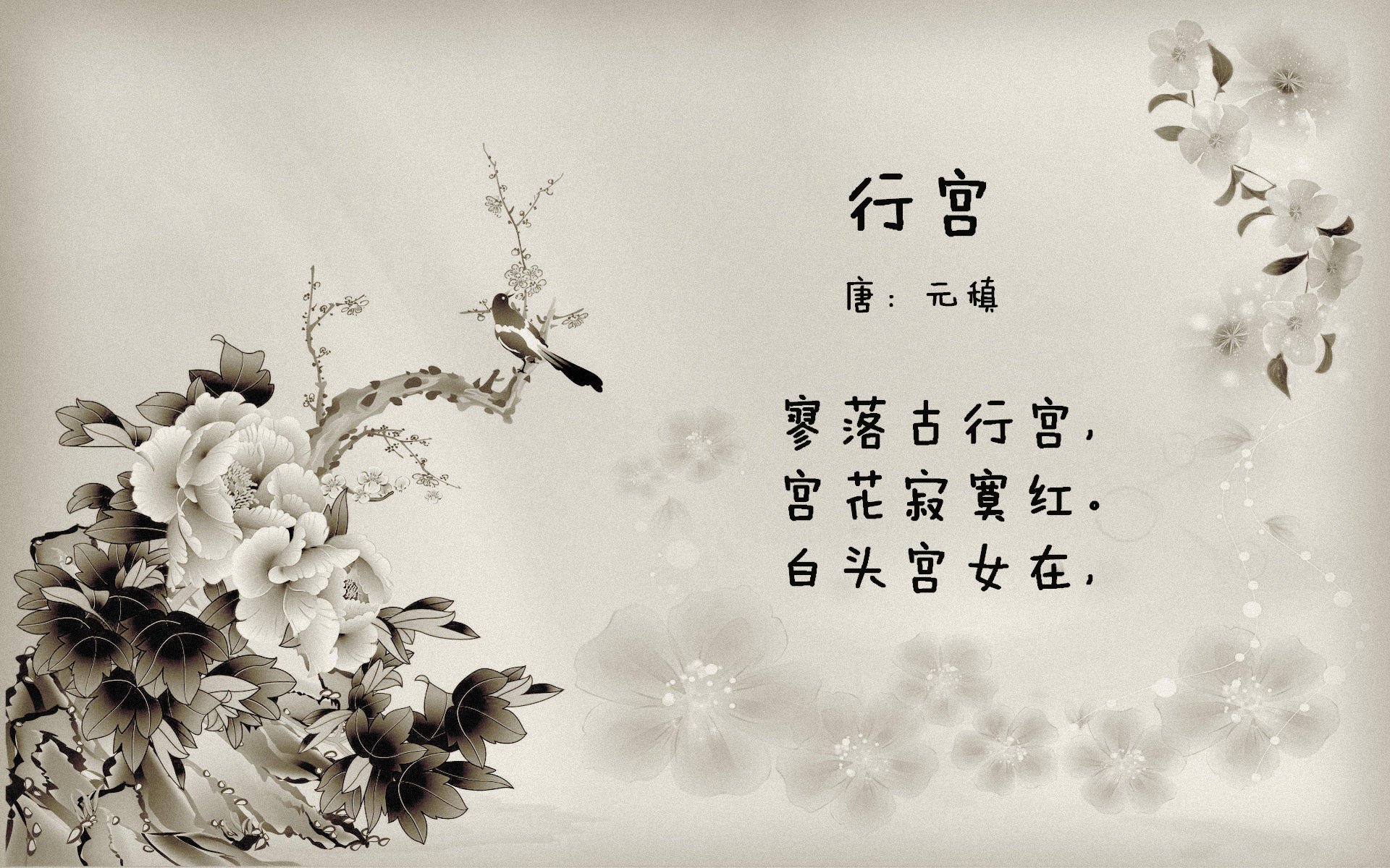 KAIYUNAPP-_明星运动员的幕后故事：坚持与梦想的交织_，运动明星的励志故事