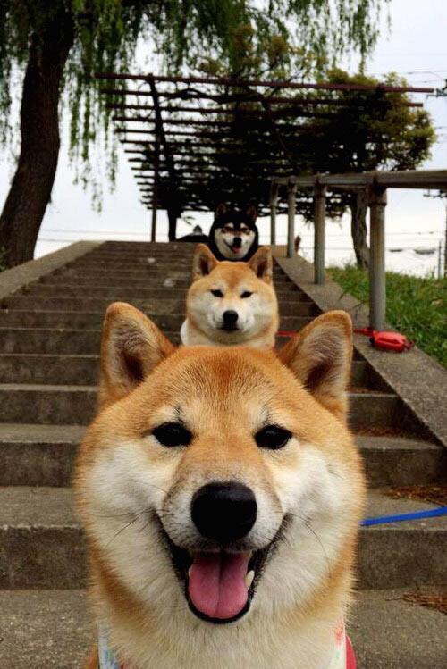 开云网页版登录入口-“未来足球领导者：全国青少年足球发展战略正式启动”，我国青少年足球发展现状