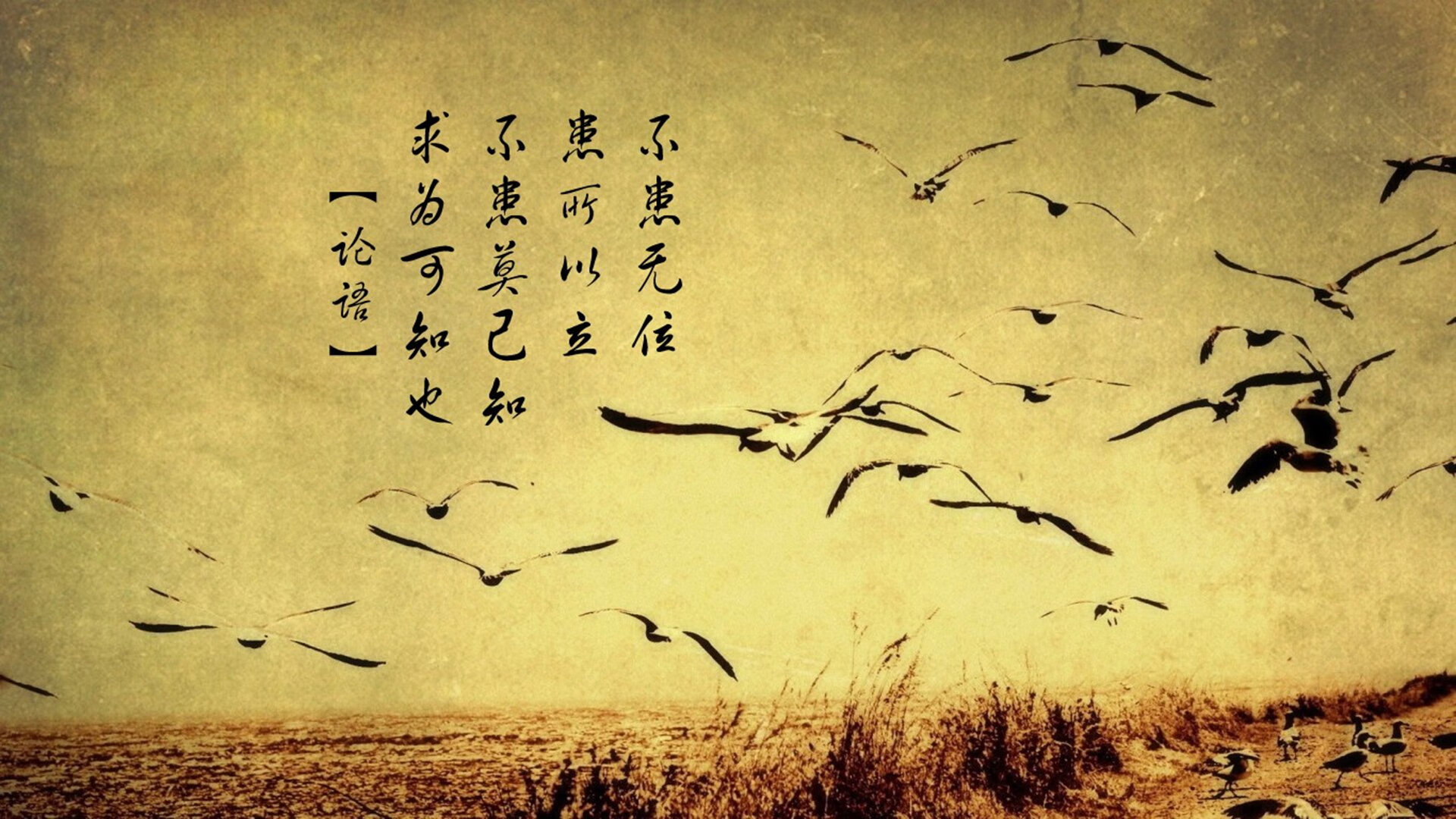 kaiyun开云·官方网站-“未来青训”项目精细化发展目标逐步实现，行业迈入高质量发展新阶段