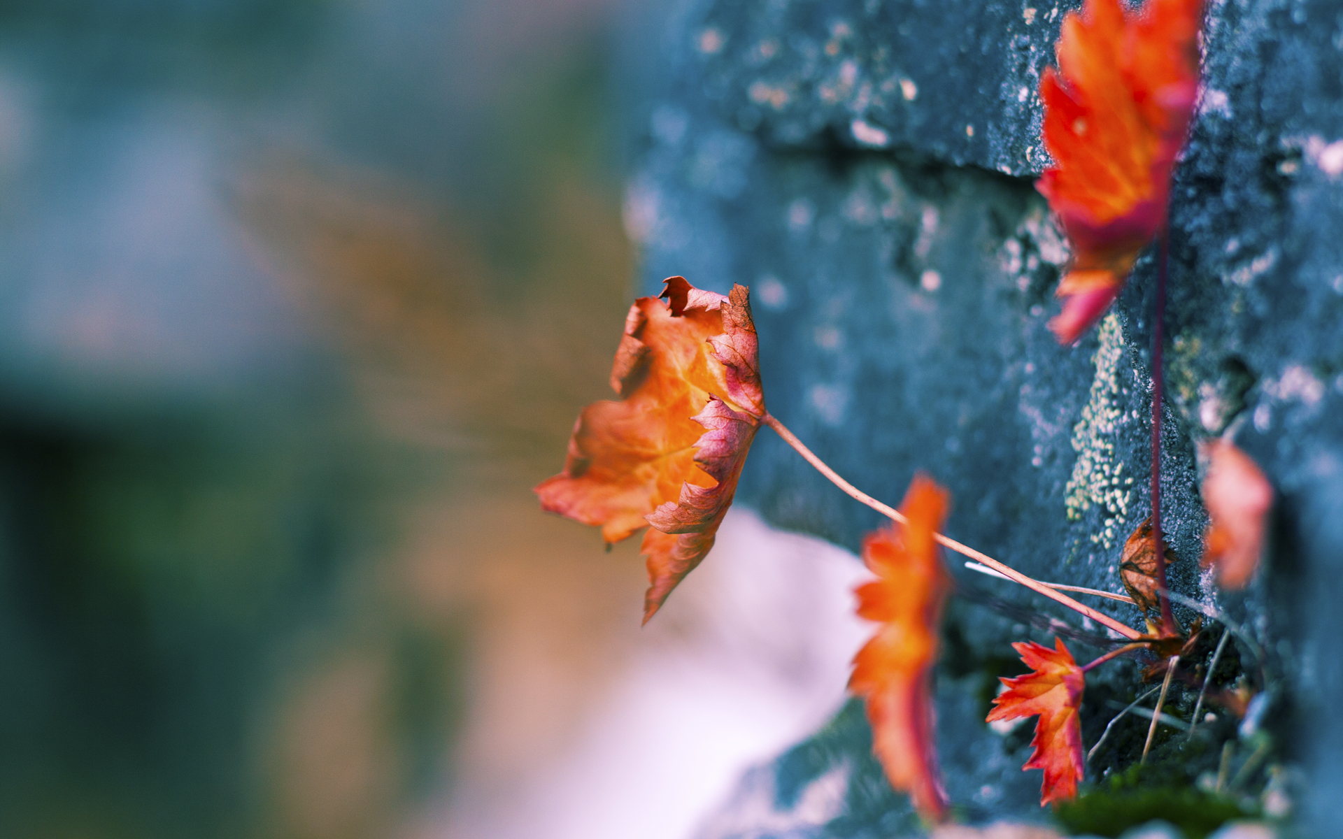 开云·Kaiyun网页版-【大谷翔平大放异彩】双刀球员连续两场双杀助队取胜，大谷翔平投球解析