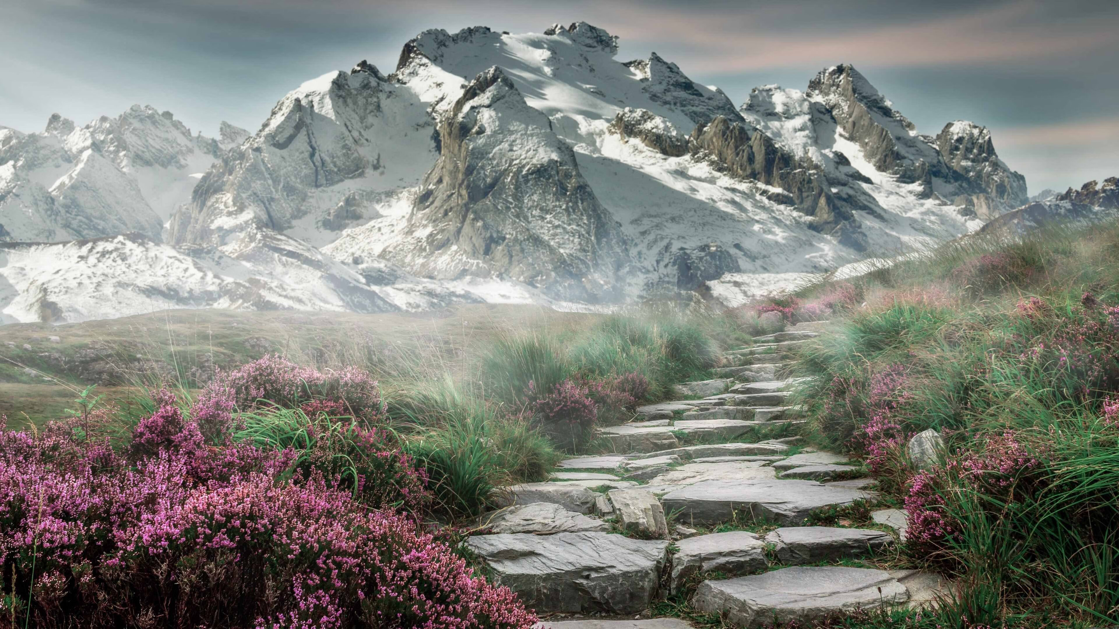 开云网站-世界马拉松大满贯赛事中国跑者表现亮眼，世界马拉松大满贯冠军