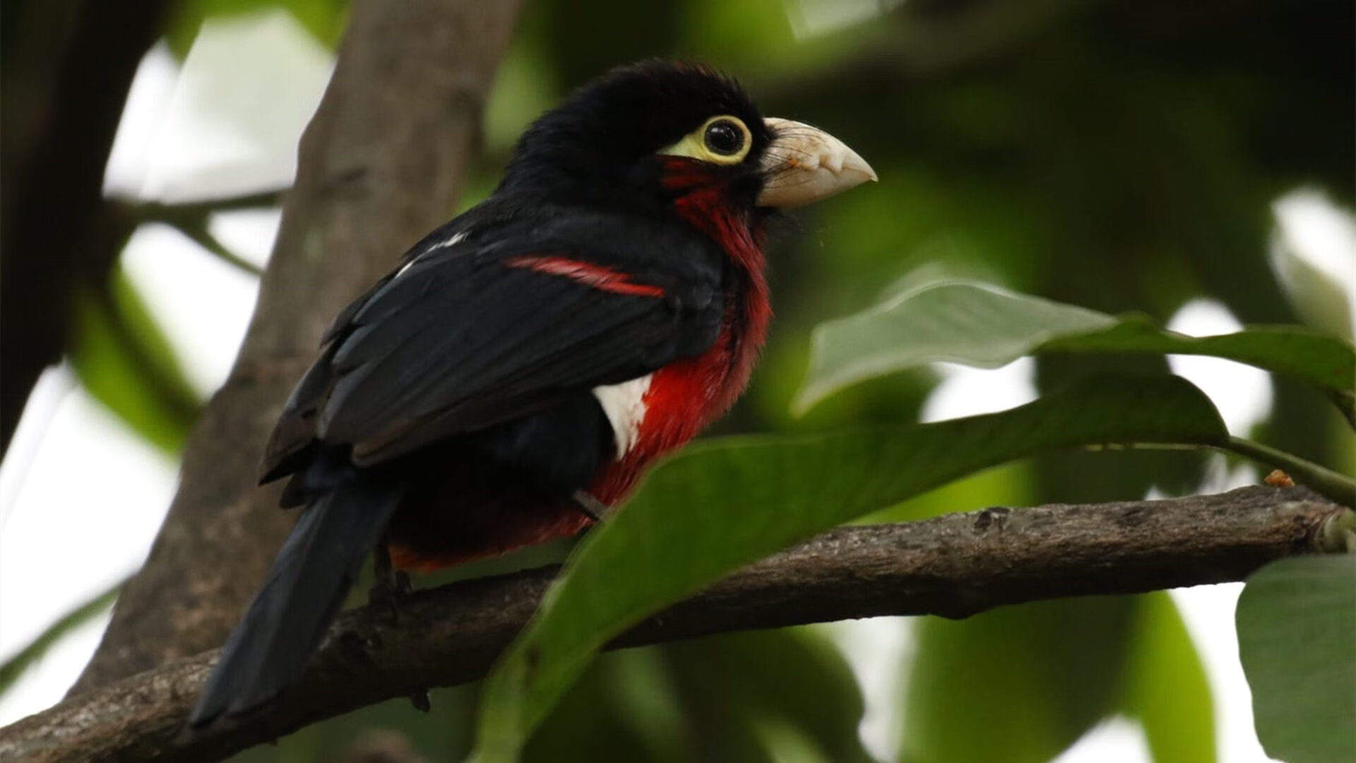 全国青少年冰上竞技体验营,感受冰雪运动魅力,冰上比赛项目有哪些