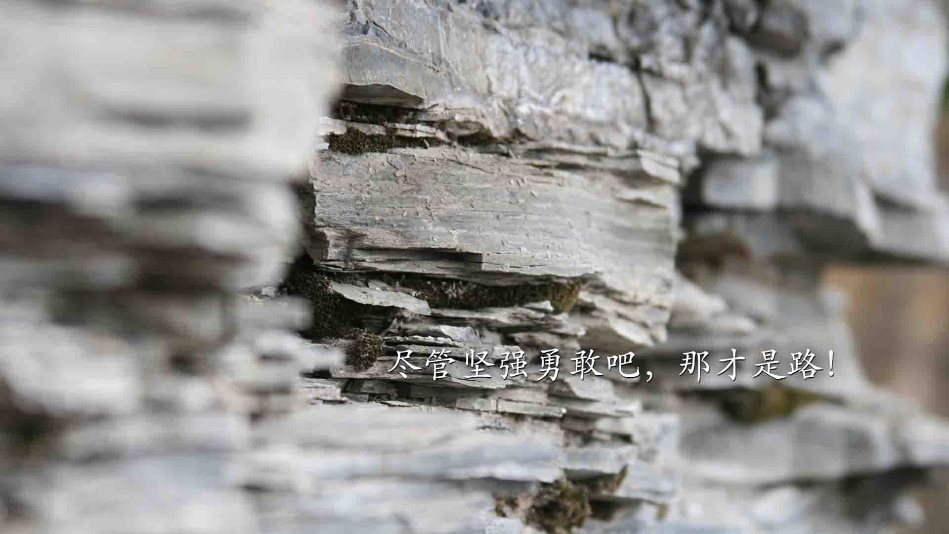 全国青少年冰球联赛,冰上激情飞扬,2021年全国青少年冰球锦标赛