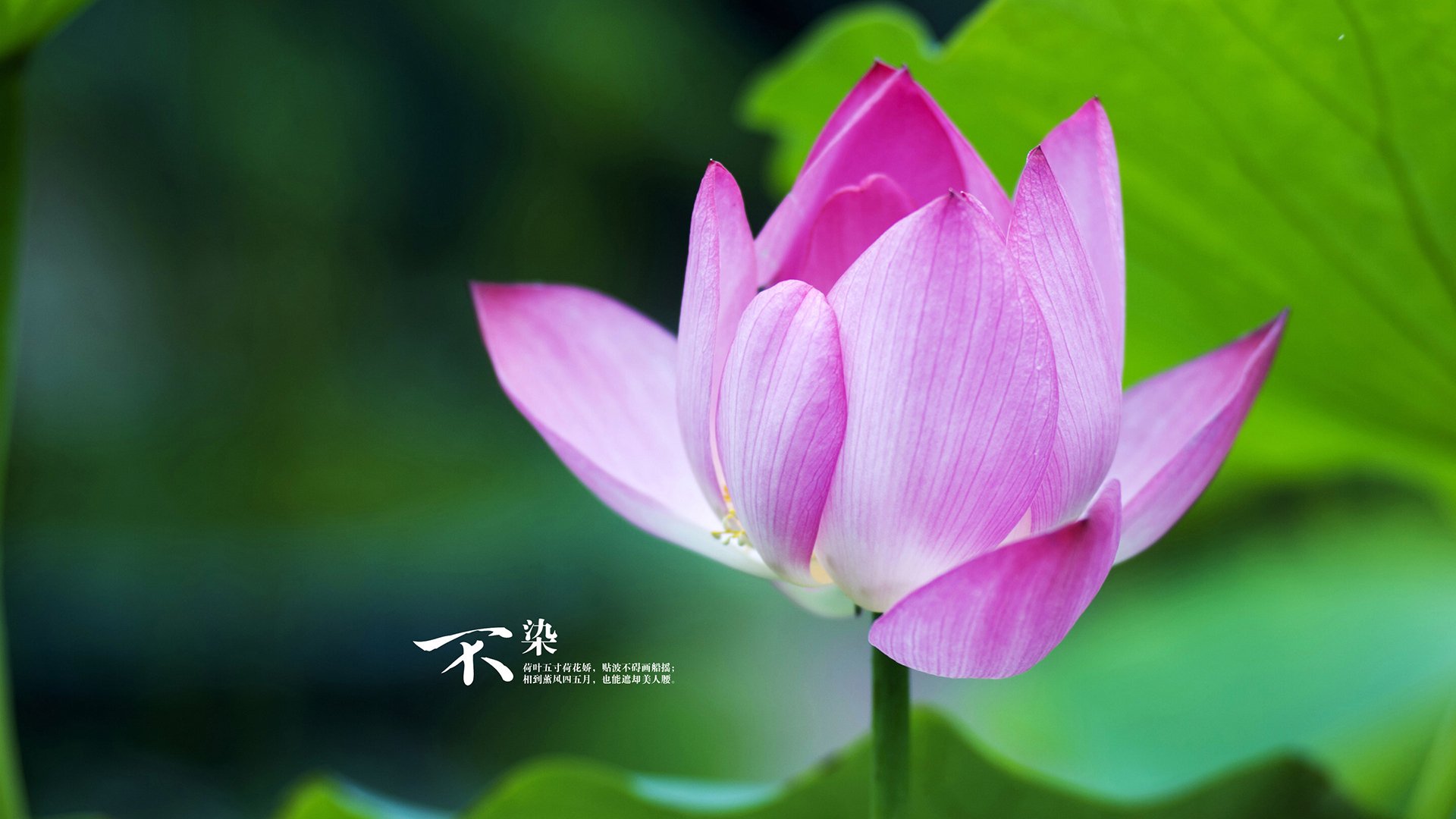 KAIYUN 中国大陆-足球场馆智能安检设备全面启用，确保安全无忧，足球场检测标准