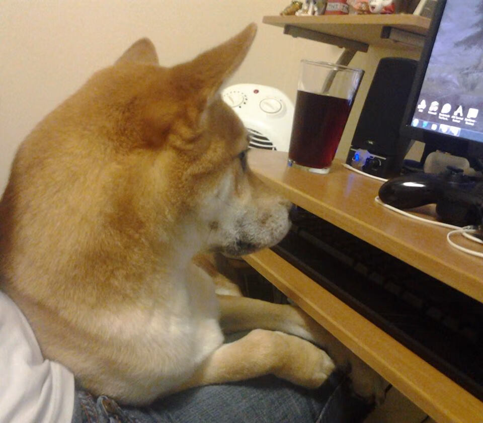 国际米兰中场核心发威，效力过国际米兰的中场