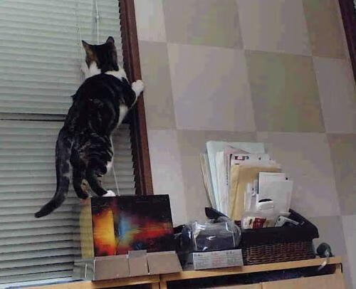 掘金客场力克马刺,约基奇表现抢眼,掘金约基奇合同