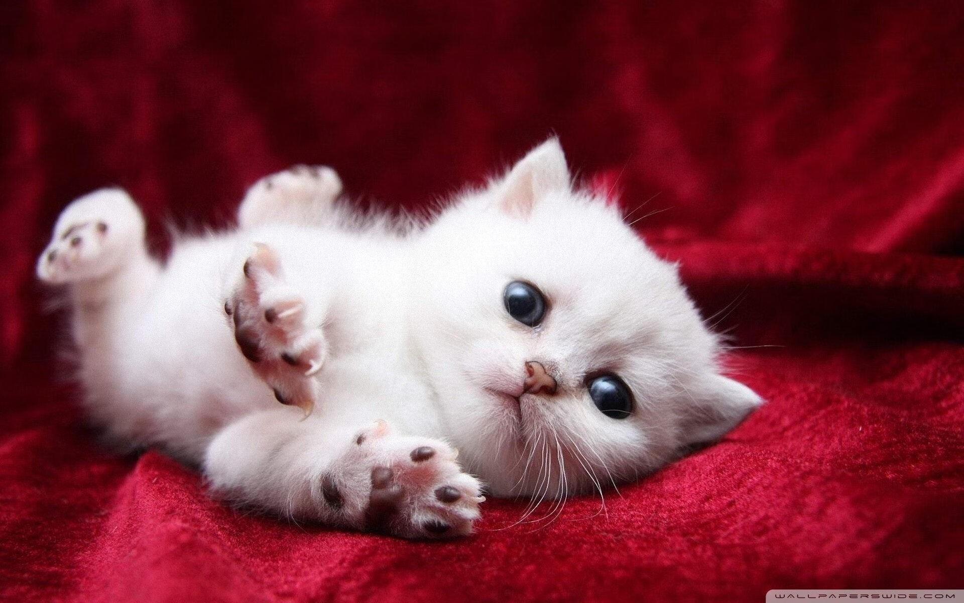 开云入口-皇家社会主场2-1小胜赫塔费，取得宝贵三分，皇家社会对赫塔菲比分预测