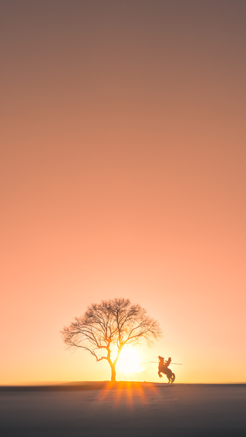 荷兰骑手 Edward Gal 在巴黎奥运会盛装舞步比赛中获得第九名,展现出色表现。