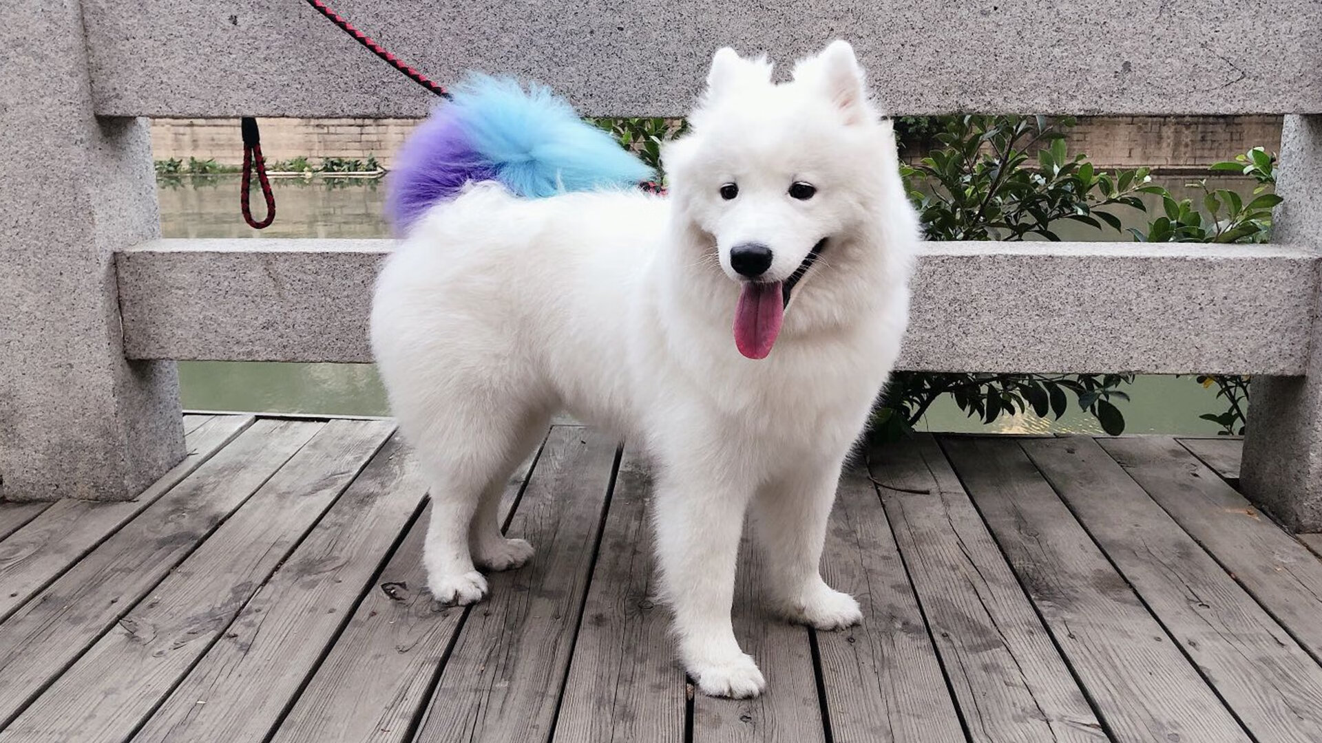 开云官方网站-足球政策制定是否考虑地域发展不均问题，足球规划政策