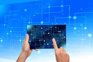 开云官方网页登录-中国篮球教练员执教能力提升路径研究，中国篮球教练员岗位培训a级教程书籍