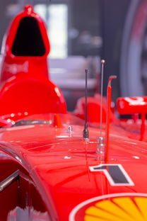 开云·体育官网APP下载-全国青少年旱地冰球锦标赛在哈尔滨精彩展开，旱地冰球比赛时间