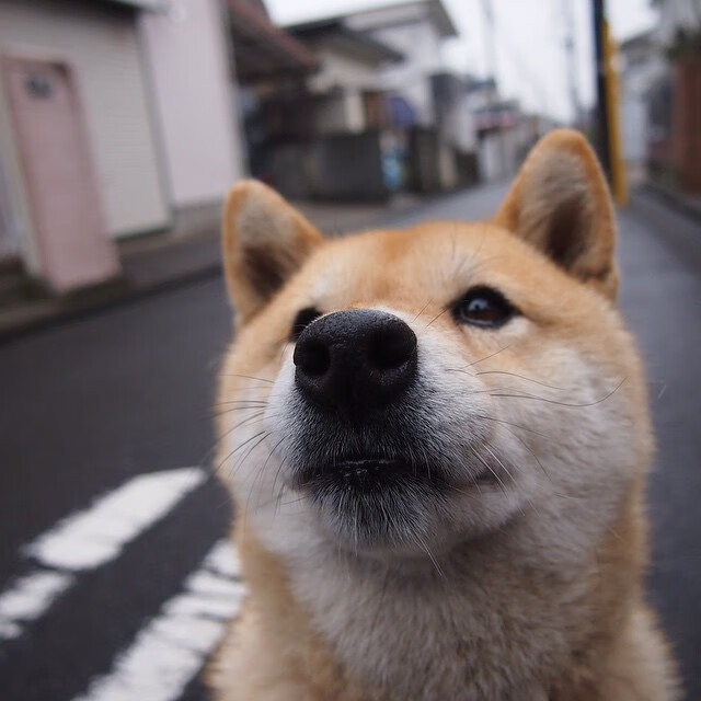 开云官网-英超青训营引入虚拟现实技术强化战术理解与应用，英超青年联赛