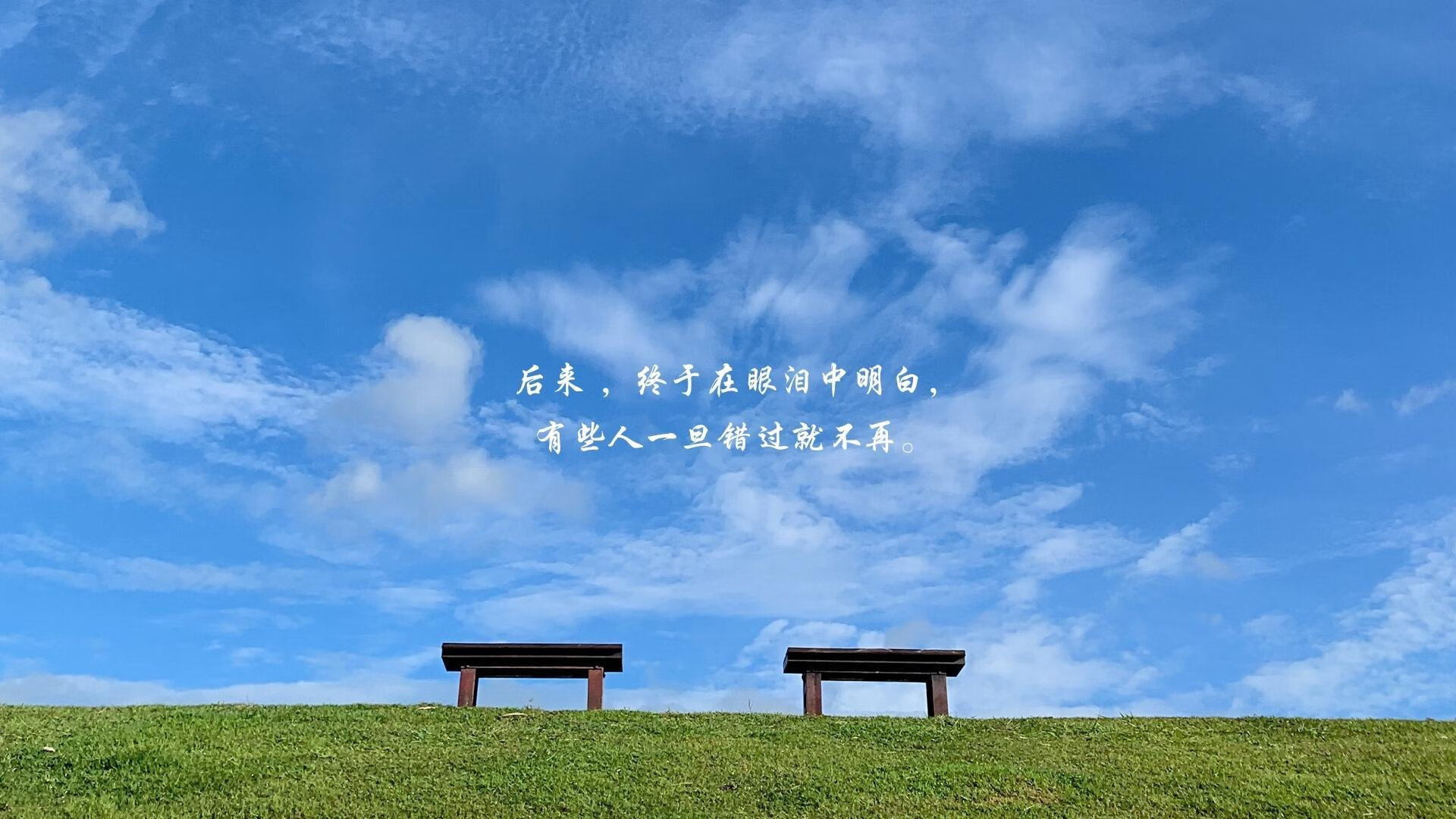 kaiyun官方网站-世界前十蛙泳选手划水效率分析，蛙泳 划水率