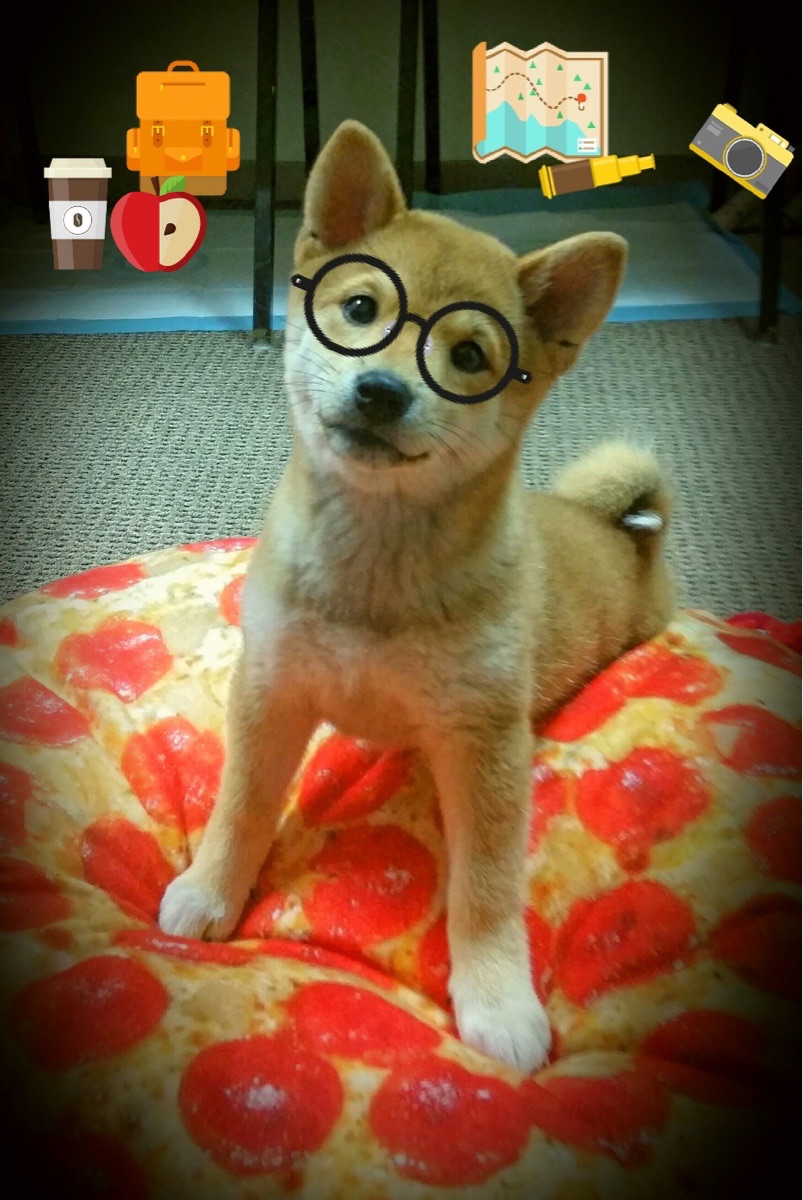 轻艇竞速,兴隆湖激情上演水上盛宴,兴隆湖可以划船吗