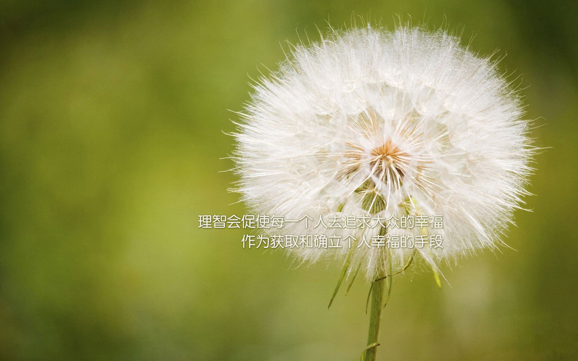 KAIYUN 中国大陆-奥卡拉汉100米自由泳决赛表现无懈可击，奥卡拉汉州长