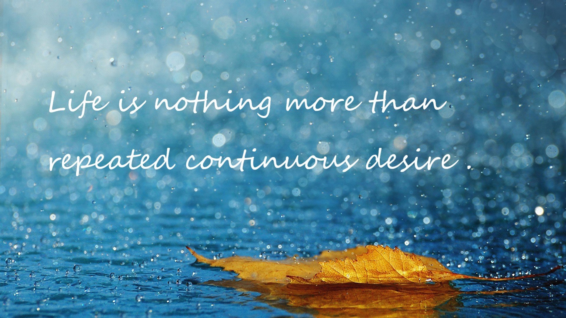 开云·体育官网-快船战术升级球队协作明显提升，快船的战术