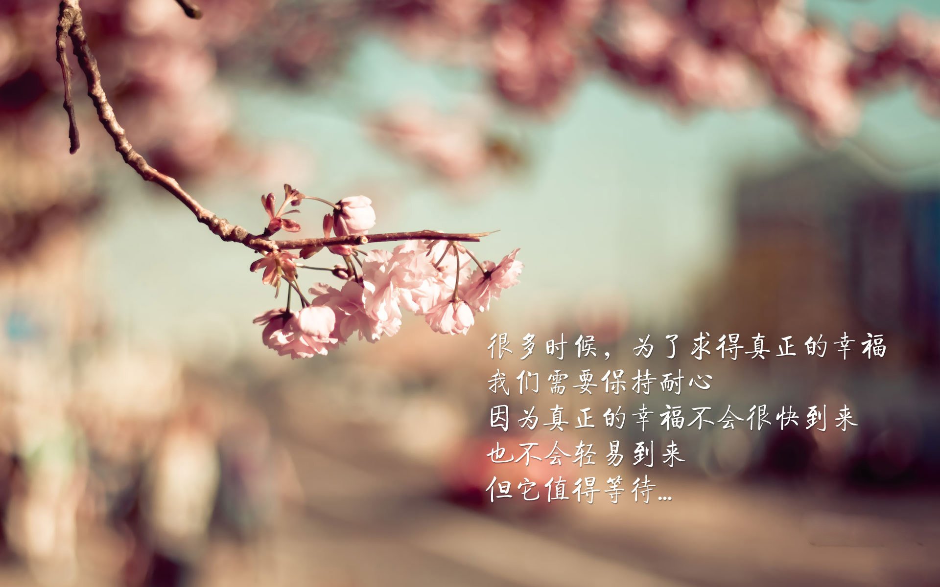 kaiyun官方入口登录-欧洲杯特殊比赛场地设计创新，欧洲杯球赛场地