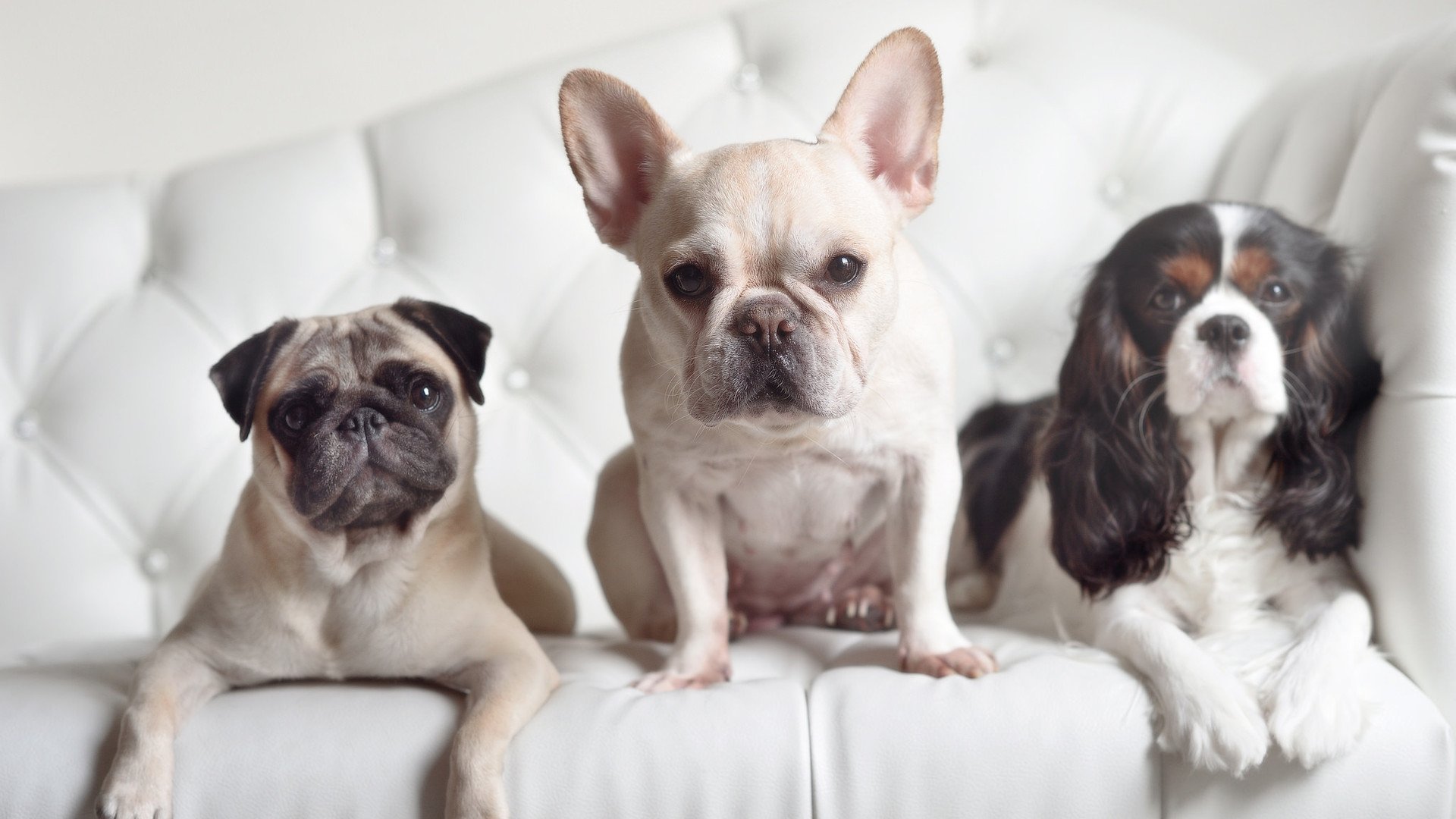 开云·Kaiyun网页版-退役赛传奇复出表演赛吸引大批媒体关注，退役后重返赛场